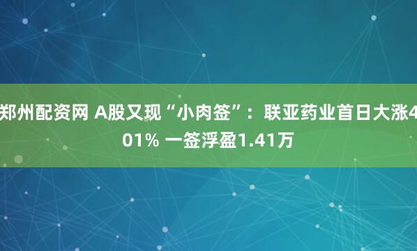 郑州配资网 A股又现“小肉签”：联亚药业首日大涨401% 一签浮盈1.41万